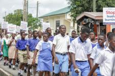 SHAPE Attitude & IERIS, UEW Marks World Environment Day 2022